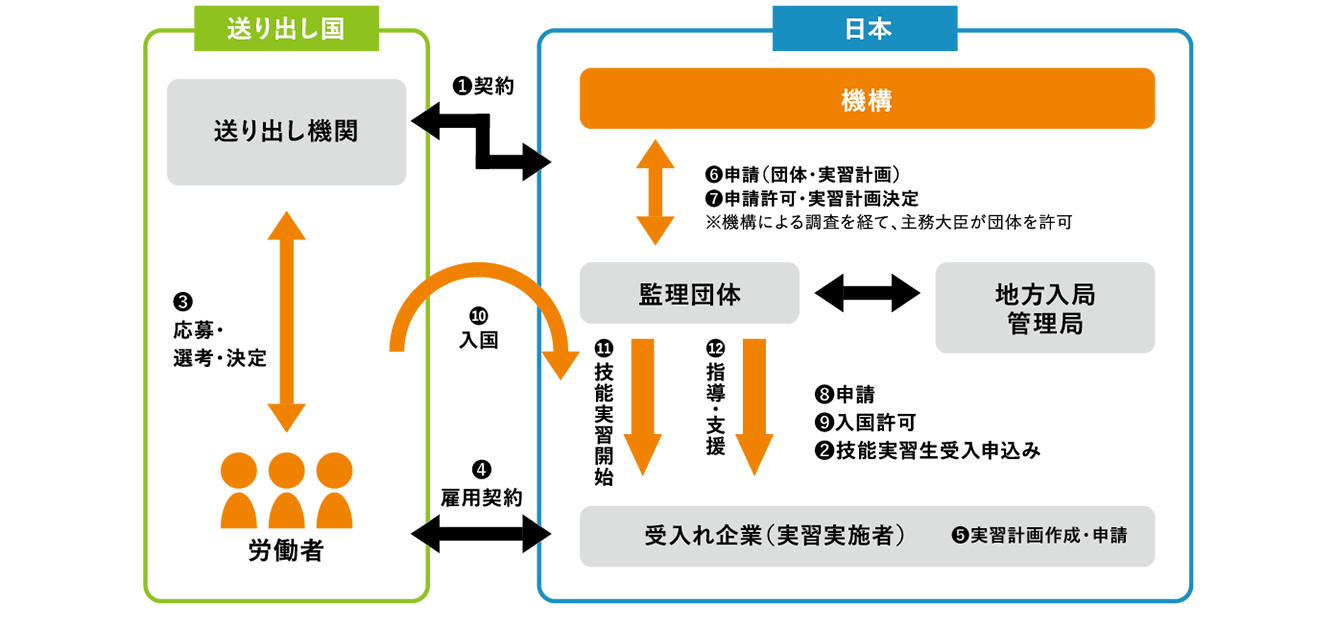 団体監理型図表