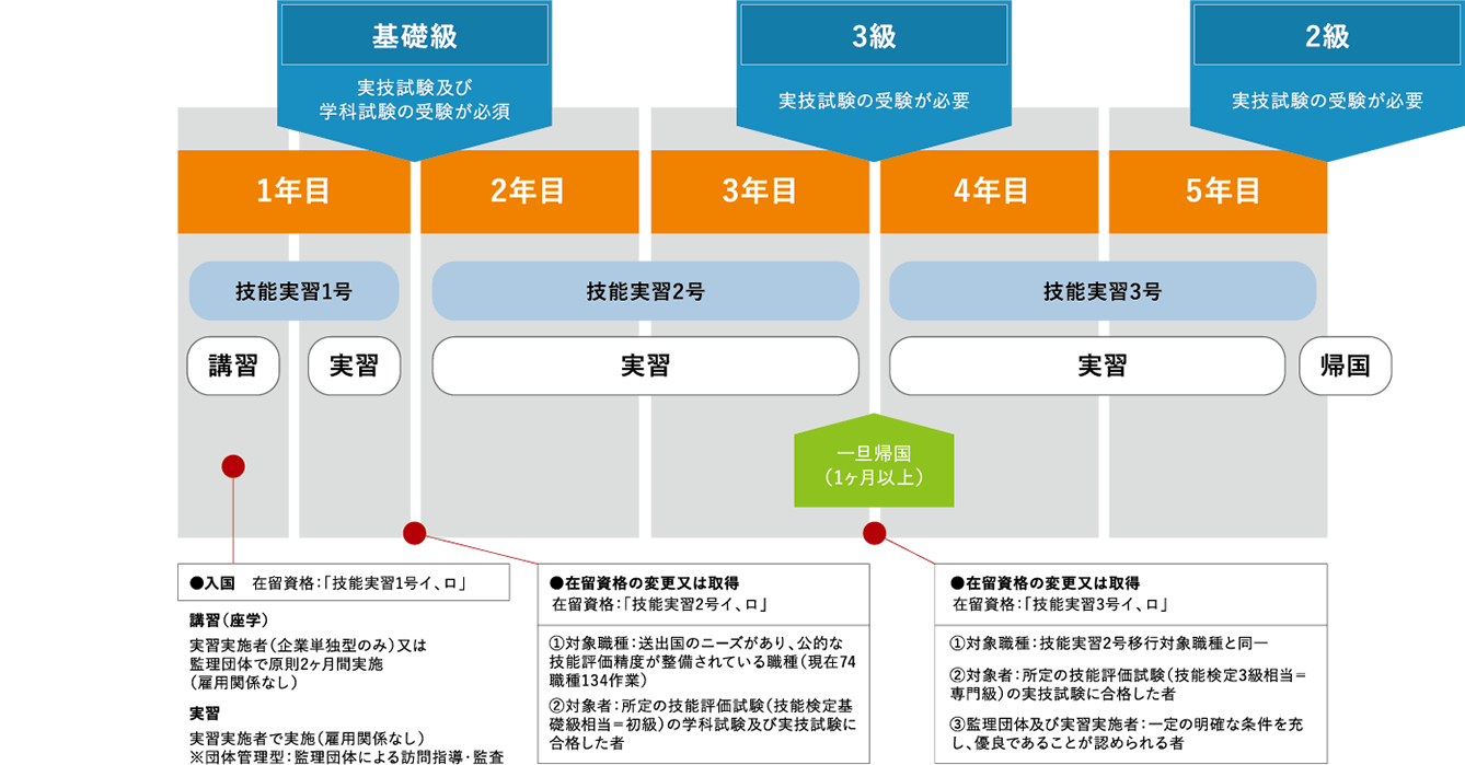 技能実習の流れ